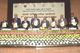 Meeting Photo