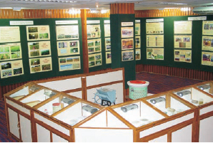 musem-img